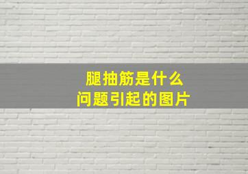 腿抽筋是什么问题引起的图片