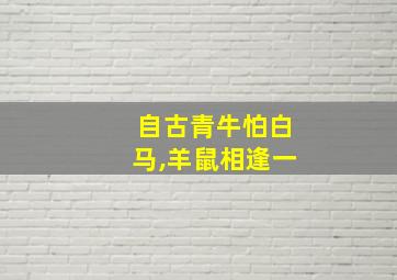 自古青牛怕白马,羊鼠相逢一