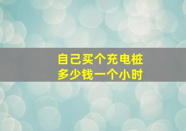 自己买个充电桩多少钱一个小时