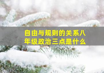 自由与规则的关系八年级政治三点是什么