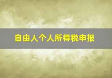 自由人个人所得税申报