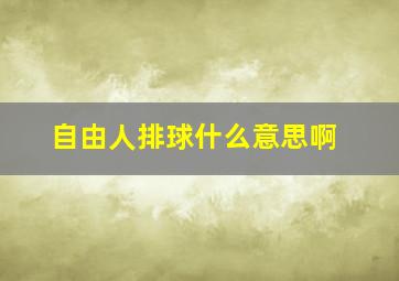 自由人排球什么意思啊