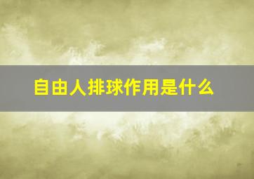 自由人排球作用是什么