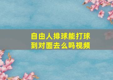 自由人排球能打球到对面去么吗视频