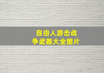 自由人游击战争武器大全图片