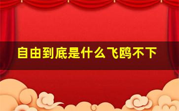 自由到底是什么飞鸥不下