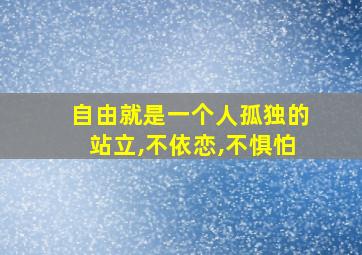 自由就是一个人孤独的站立,不依恋,不惧怕