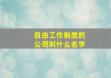 自由工作制度的公司叫什么名字