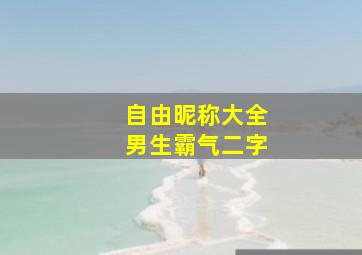 自由昵称大全男生霸气二字