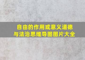 自由的作用或意义道德与法治思维导图图片大全