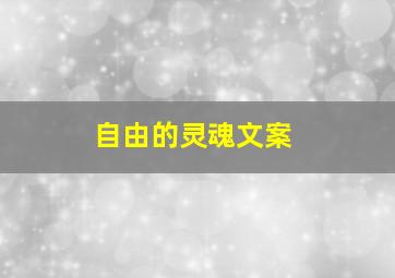 自由的灵魂文案