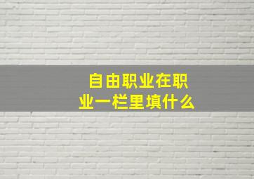 自由职业在职业一栏里填什么