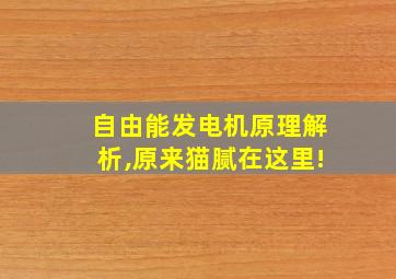 自由能发电机原理解析,原来猫腻在这里!