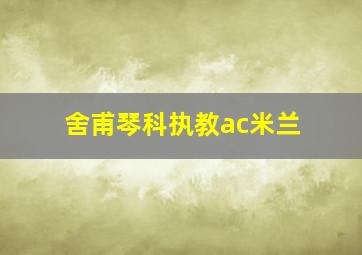 舍甫琴科执教ac米兰