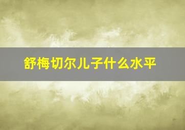 舒梅切尔儿子什么水平