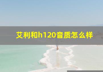 艾利和h120音质怎么样