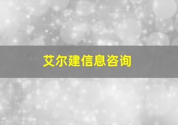 艾尔建信息咨询