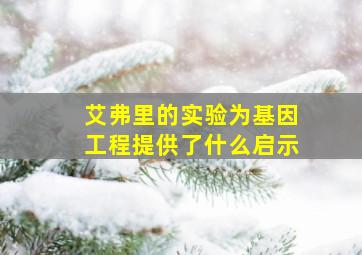 艾弗里的实验为基因工程提供了什么启示