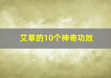 艾草的10个神奇功效