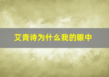 艾青诗为什么我的眼中