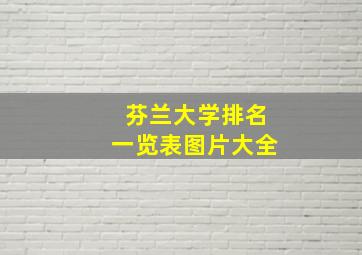 芬兰大学排名一览表图片大全