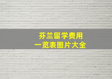 芬兰留学费用一览表图片大全