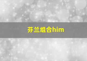 芬兰组合him