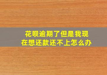 花呗逾期了但是我现在想还款还不上怎么办