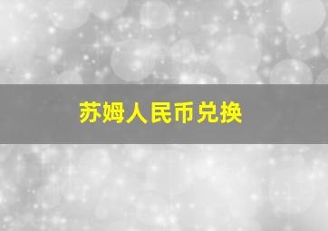 苏姆人民币兑换