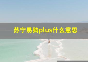 苏宁易购plus什么意思