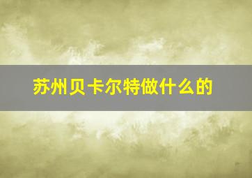 苏州贝卡尔特做什么的