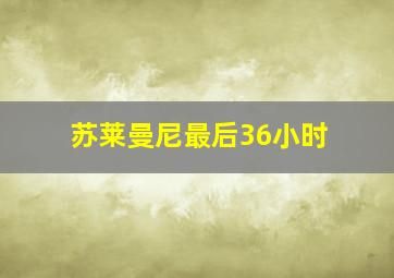 苏莱曼尼最后36小时