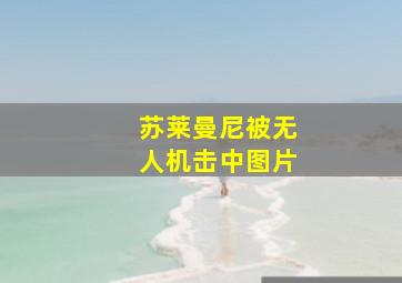 苏莱曼尼被无人机击中图片