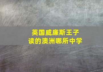 英国威廉斯王子读的澳洲哪所中学