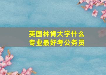 英国林肯大学什么专业最好考公务员