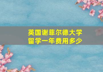 英国谢菲尔德大学留学一年费用多少