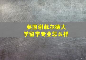 英国谢菲尔德大学留学专业怎么样