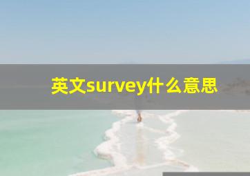 英文survey什么意思