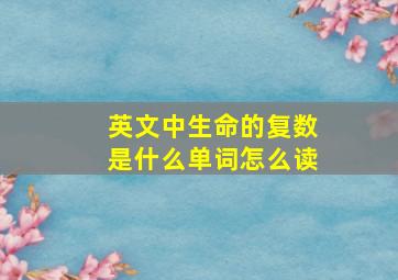 英文中生命的复数是什么单词怎么读