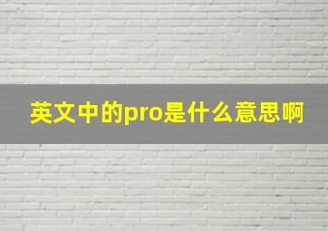 英文中的pro是什么意思啊