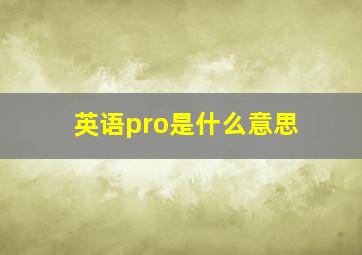 英语pro是什么意思