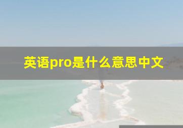 英语pro是什么意思中文