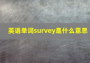 英语单词survey是什么意思