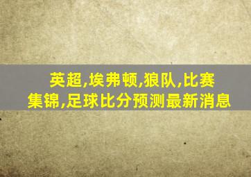 英超,埃弗顿,狼队,比赛集锦,足球比分预测最新消息