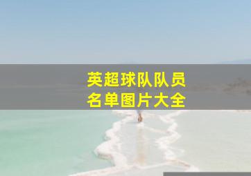 英超球队队员名单图片大全