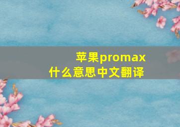 苹果promax什么意思中文翻译