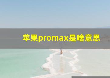 苹果promax是啥意思