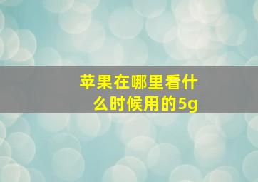 苹果在哪里看什么时候用的5g