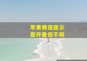 苹果微信提示音开着但不响