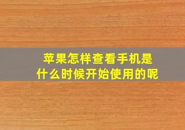 苹果怎样查看手机是什么时候开始使用的呢